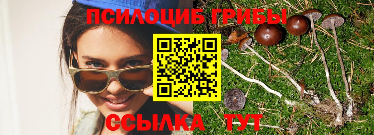Отрадное  Псилоцибиновые грибы Magic Shrooms  Вход с VPN  Галлюциногенные грибы Psilocybe 